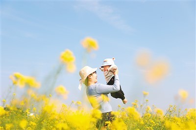 近期，贵州、广西、云南、湖南等地油菜花盛开，散发浓浓春意。图为2月16日，游客在广西壮族自治区南宁市宾阳县大桥镇的油菜花田里游玩。刘 峥摄（新华社发）